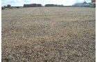 Property photo 43 - 75.3 Acres Offered in 2 Tracts